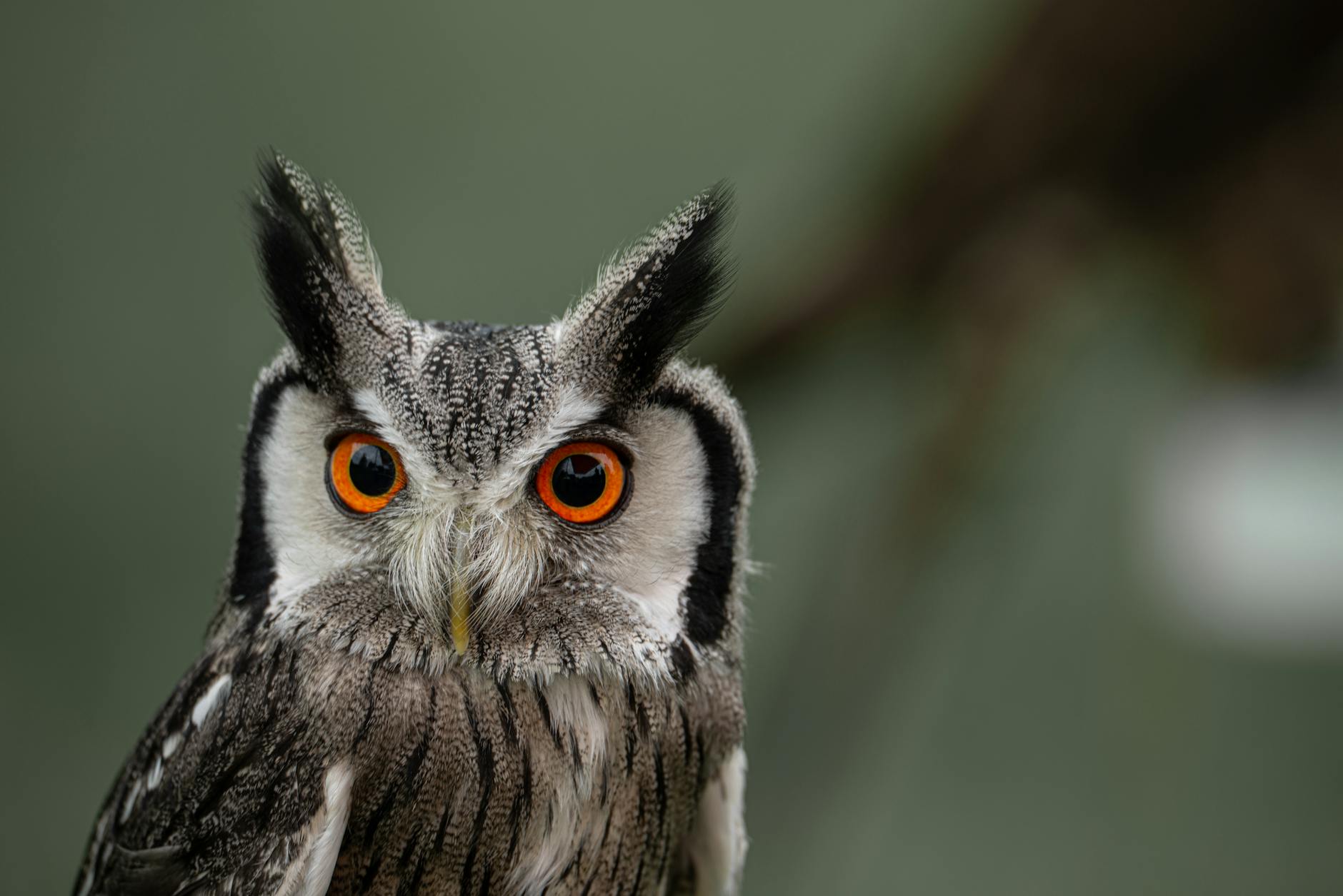 Grafika przedstawiająca logo Urzędu Miasta Knurów z hasłem "Małe Granty – Wielkie Idee" i ikonami symbolizującymi projekty społeczne i kulturalne.